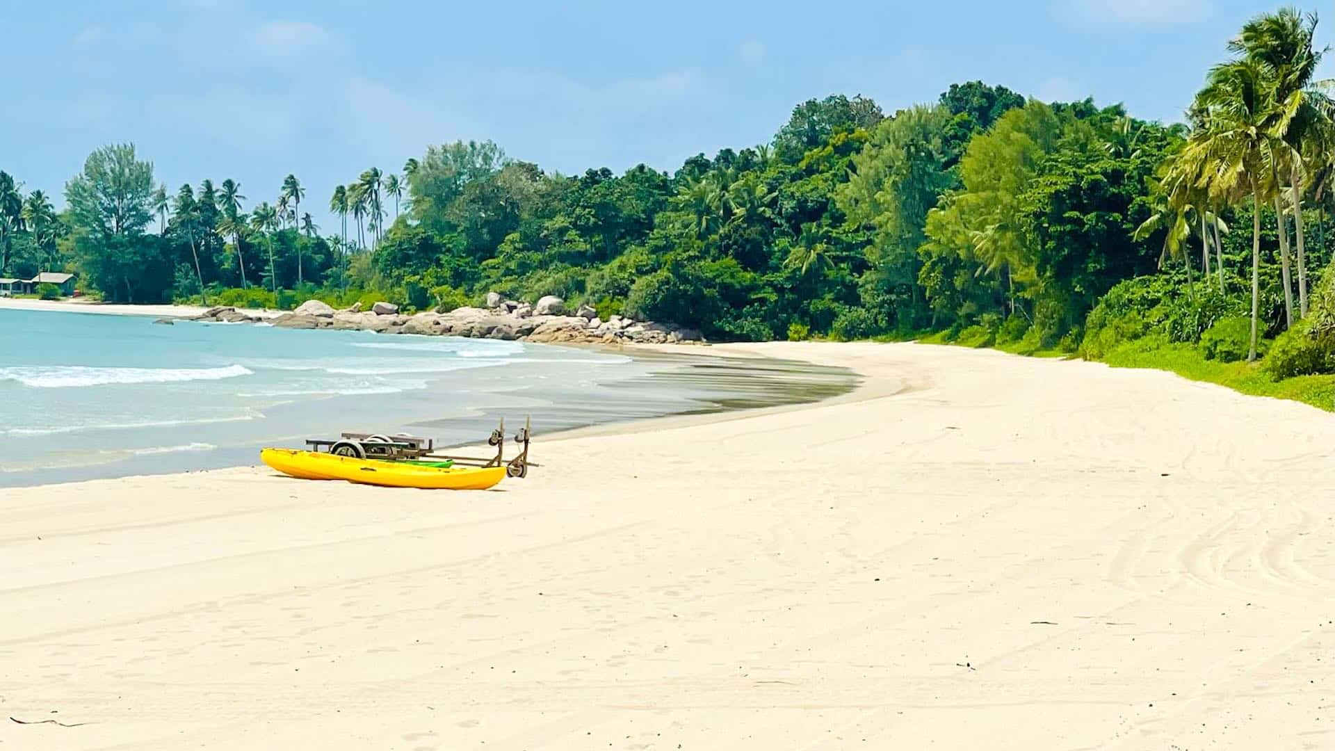 成田空港JALフライト機影
